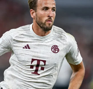 展势头正猛 展势头正猛